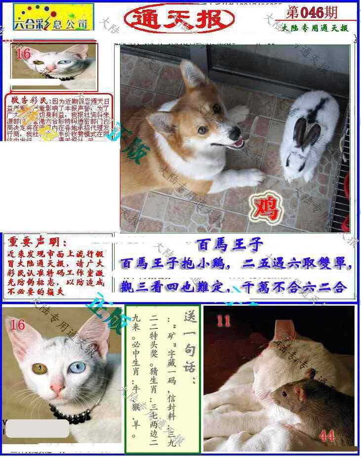 港彩图库 2026 大陆通天报