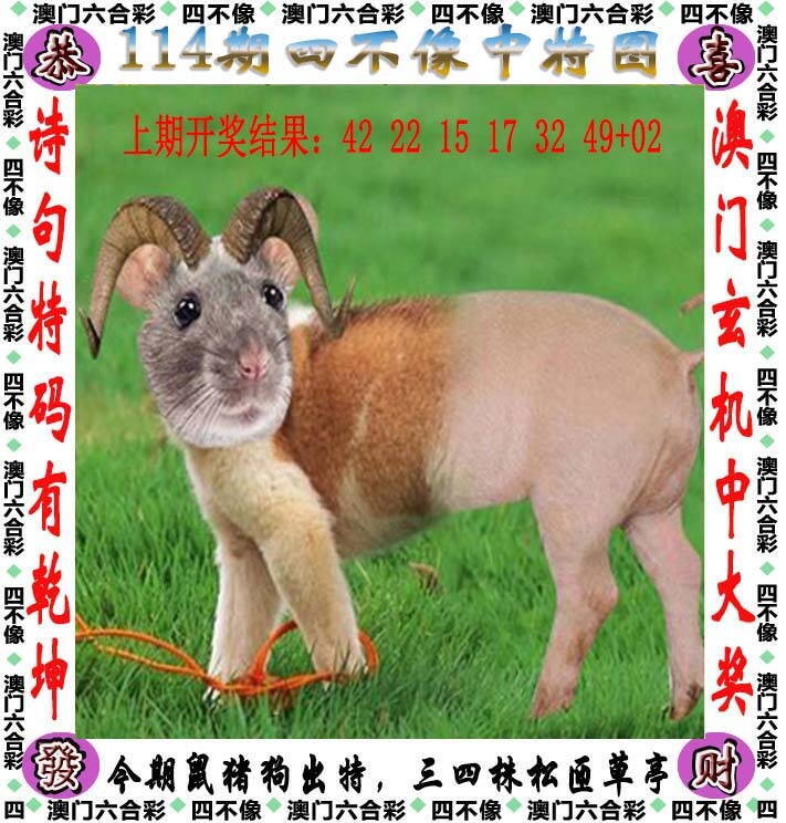 澳彩图库 2026 四不像