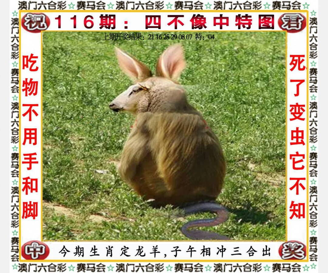 澳彩图库 2026 四不像中特图